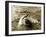 Dolphins Swimming and Playing Together, 1985-null-Framed Premium Photographic Print