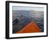 Dolphins Swimming with a Boat, Savo Island, Solomon Islands, Pacific-Michael Runkel-Framed Photographic Print