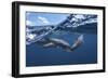 Dolphins-Barathieu Gabriel-Framed Giclee Print