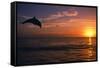 Dolphins-null-Framed Stretched Canvas