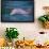 Dolphins-DLILLC-Framed Photographic Print displayed on a wall