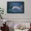 Dolphins-DLILLC-Framed Photographic Print displayed on a wall