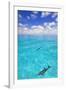 Dolphins-null-Framed Photographic Print