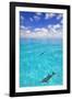 Dolphins-null-Framed Photographic Print