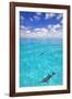 Dolphins-null-Framed Photographic Print