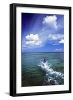 Dolphins-null-Framed Photographic Print