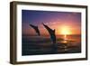 Dolphins-null-Framed Photographic Print