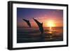 Dolphins-null-Framed Photographic Print