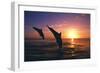 Dolphins-null-Framed Photographic Print