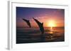 Dolphins-null-Framed Photographic Print