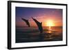 Dolphins-null-Framed Photographic Print