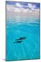 Dolphins-null-Mounted Photographic Print