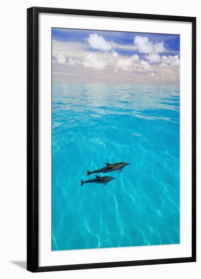 Dolphins-null-Framed Photographic Print