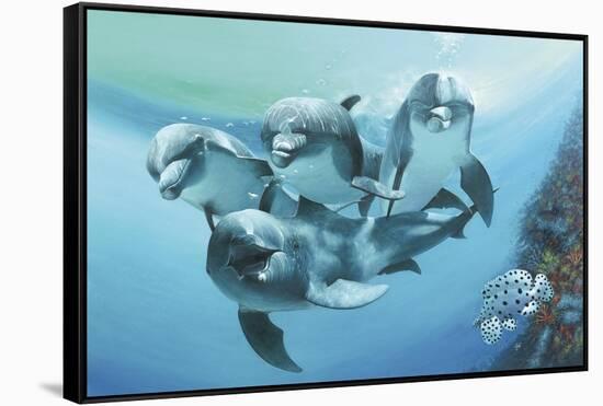 Dolphins-Durwood Coffey-Framed Stretched Canvas