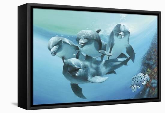 Dolphins-Durwood Coffey-Framed Stretched Canvas