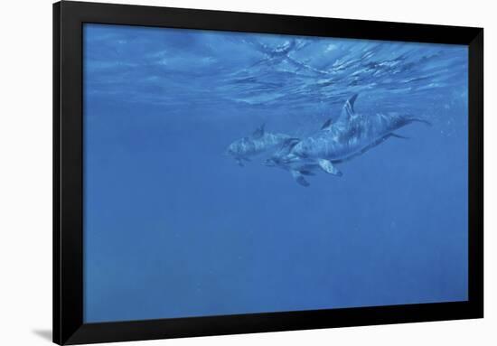 Dolphins-Michael Jackson-Framed Giclee Print