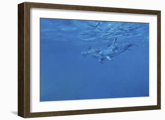 Dolphins-Michael Jackson-Framed Giclee Print