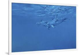 Dolphins-Michael Jackson-Framed Giclee Print