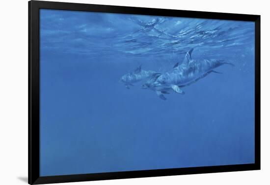 Dolphins-Michael Jackson-Framed Giclee Print