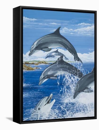 Dolphins-Janet Blakeley-Framed Stretched Canvas