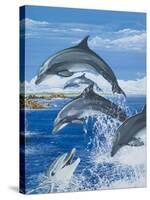 Dolphins-Janet Blakeley-Stretched Canvas