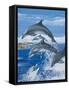 Dolphins-Janet Blakeley-Framed Stretched Canvas