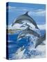 Dolphins-Janet Blakeley-Stretched Canvas