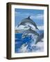 Dolphins-Janet Blakeley-Framed Giclee Print