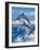 Dolphins-Janet Blakeley-Framed Giclee Print