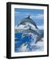 Dolphins-Janet Blakeley-Framed Giclee Print