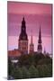 Dom Cathedral, St. Peter's Church-Doug Pearson-Mounted Premium Photographic Print