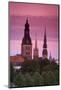 Dom Cathedral, St. Peter's Church-Doug Pearson-Mounted Photographic Print