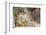 Dome fresco by Johann Michael Rottmayr, Karlskirche (St. Charles's Church), Austria-Godong-Framed Photographic Print