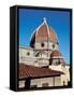 Dome of the Cathedral of Santa Maria Del Fiore-Filippo Brunelleschi-Framed Stretched Canvas