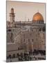 Dome of the Rock and the Western Wall, Jerusalem, Israel, Middle East-Michael DeFreitas-Mounted Photographic Print