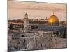 Dome of the Rock and the Western Wall, Jerusalem, Israel, Middle East-Michael DeFreitas-Mounted Photographic Print