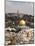 Dome of the Rock, Jerusalem, Israel, Middle East-Michael DeFreitas-Mounted Photographic Print