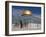 Dome of the Rock, Jerusalem, Israel, Middle East-Michael DeFreitas-Framed Photographic Print