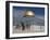 Dome of the Rock, Jerusalem, Israel, Middle East-Michael DeFreitas-Framed Photographic Print