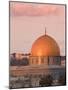 Dome of the Rock, Jerusalem, Israel, Middle East-Michael DeFreitas-Mounted Photographic Print