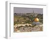 Dome of the Rock, Jerusalem, Israel, Middle East-Michael DeFreitas-Framed Photographic Print