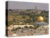 Dome of the Rock, Jerusalem, Israel, Middle East-Michael DeFreitas-Stretched Canvas