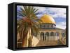 Dome of the Rock, Jerusalem, Israel, Middle East-Michael DeFreitas-Framed Stretched Canvas