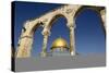 Dome of the Rock Mosque, Temple Mount, UNESCO World Heritage Site, Jerusalem, Israel, Middle East-Yadid Levy-Stretched Canvas