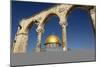 Dome of the Rock Mosque, Temple Mount, UNESCO World Heritage Site, Jerusalem, Israel, Middle East-Yadid Levy-Mounted Photographic Print