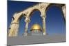 Dome of the Rock Mosque, Temple Mount, UNESCO World Heritage Site, Jerusalem, Israel, Middle East-Yadid Levy-Mounted Photographic Print