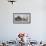 Dome of the Rock, Temple Mount (Haram esh-Sharif), Old City, Jerusalem, Israel-null-Framed Photographic Print displayed on a wall