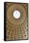 Dome of the Sala Rotonda in the Vatican Museum, Vatican City, Rome, Lazio, Italy-Stuart Black-Framed Stretched Canvas