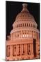 Dome of the U.S. Capitol Building-Sean Linehan-Mounted Art Print