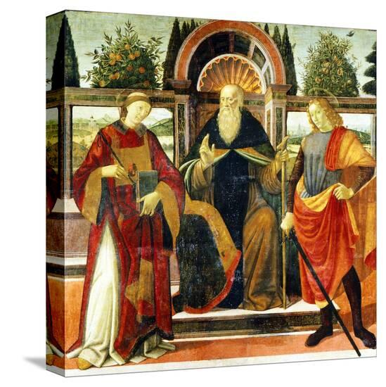 Stretched Canvas Print, , large